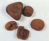 牛黄イメージ画像